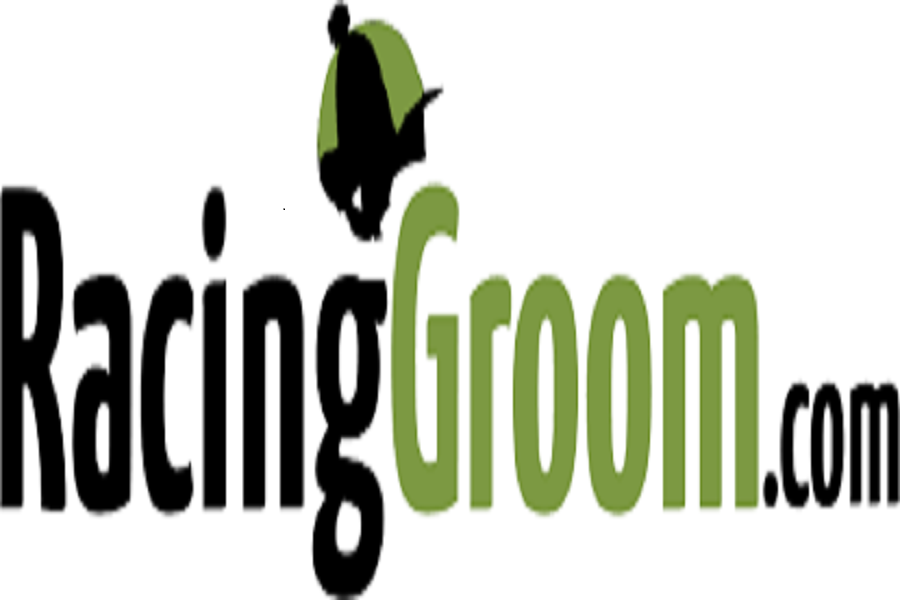 Racing Groom website launched as an information and support resource for racing staff Image Racing Groom website launched as an information and support resource for racing staff Image